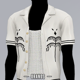 Austin Summer Shirt With Tank logo