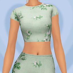 Sleepover top logo