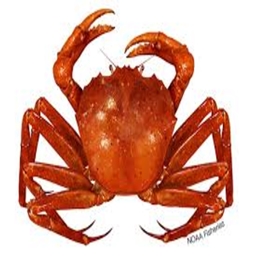 crab logo