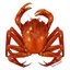 crab logo