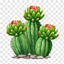 Catcus logo