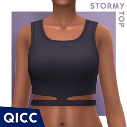 QICC - Stormy Top project image