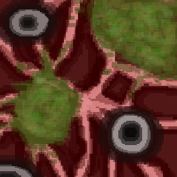 The Found Flesh Infection logo