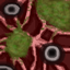 The Found Flesh Infection logo