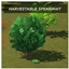 SPEARMINT Harvestable By icemunmun | Chinese Translation logo