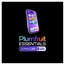 ✨🍏✨ Plumfruit Essentials by Arnie -ES Spanish Translation ES ✨ logo