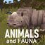 Animals and Fauna logo