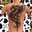 Robynq Tattoo RL4298 - Basegame compatible logo