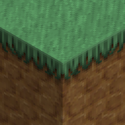 Soartex Forever project image
