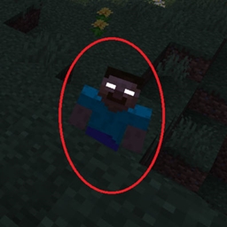 Herobrine World project image