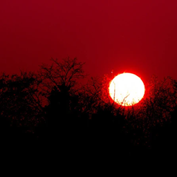 The day the sun broke logo