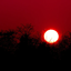 The day the sun broke logo