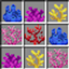 Craftable Corals logo