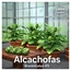 🍑🌿Artichoke by: BrazenLotus — Spanish Translation ES logo