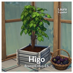 🌳🍈 Fig Tree by: BrazenLotus — Spanish Translation ES
