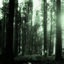 Haunted Woods logo