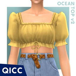 QICC - Ocean Top project image