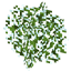Ecliptic Seasons - Motschen's Better Leaves logo