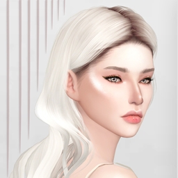 HIGHLIGHTER BH04 logo