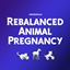 Rebalanced Animal Pregnancy logo