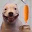 Shork logo
