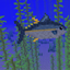 bigfish ripple logo
