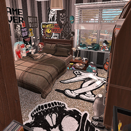 Skater/Grunge Teen Boys Bedroom