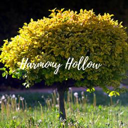 Harmony Hollow ReVamped project image