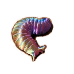crazyraft logo