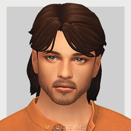 Arthur Hairstyle by Mercisims logo