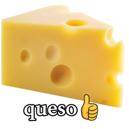 Quesitooooo logo