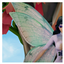 [MINIWA] WINGS PACK (REMAKE) logo