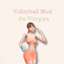 Tradução de Volleyball Mod em PT/BR logo