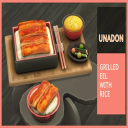 Unadon - Grilled Eel with Rice Recipe By icemunmun | Chinese Translation