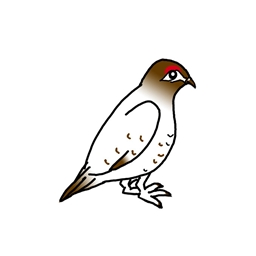 arctic fauna logo