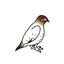arctic fauna logo