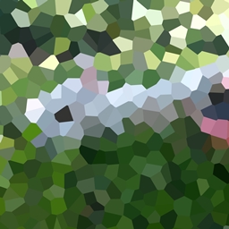 WithTheCat (Second Edition)