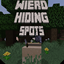 Wierd Hiding Spots logo