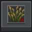No Firefly Bush Animation logo