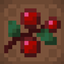 Sweet Berries Expanded logo