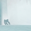Cut's Animal Origins logo