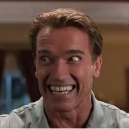 Anan Schwarzenegger logo