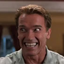 Anan Schwarzenegger logo