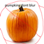 pumpkins dont blurr logo