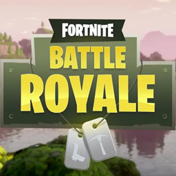 Fortnite Battle Royale project image
