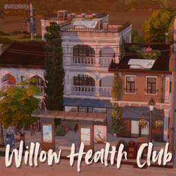 Evermore Save Project #18 - Willow Health Club  (Willow Creek)
