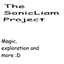 The SonicLiam Project logo