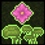 Fancy Plants logo