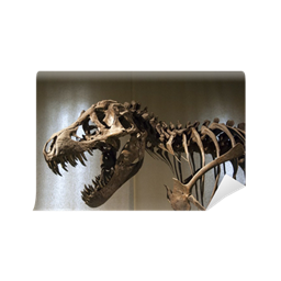 Cretaceous