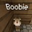 MC_Server__Dennis_Schijt_Teveel logo